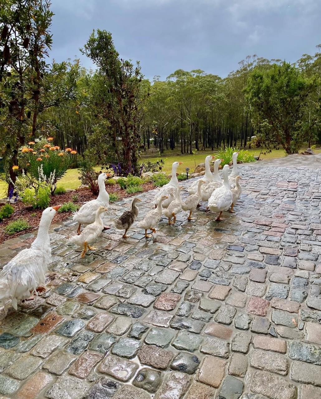 Aangepaste mix van Belgisch gres/Zweeds graniet en porfier – Australië