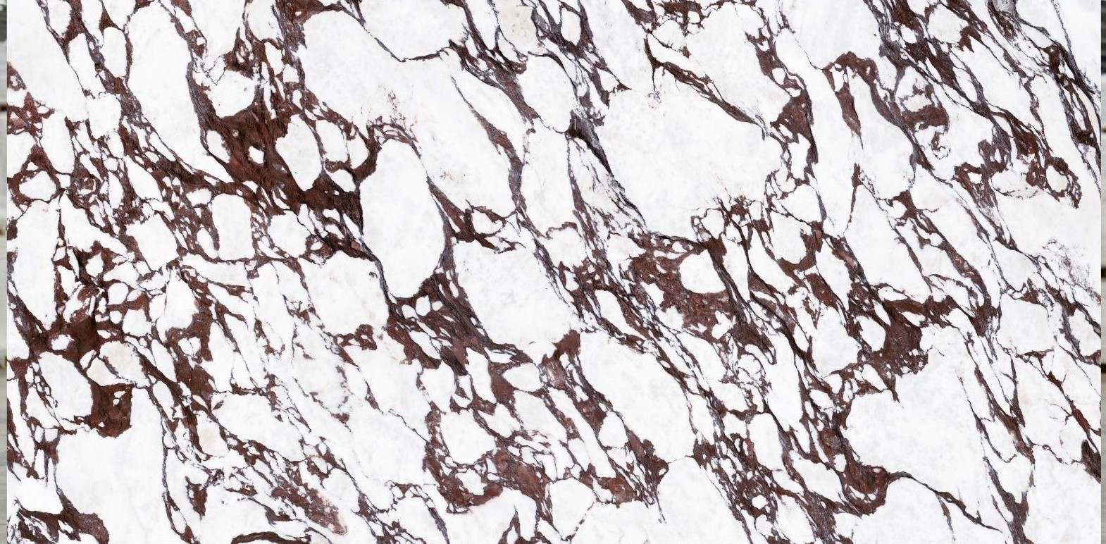 Calacatta viola STONE NV